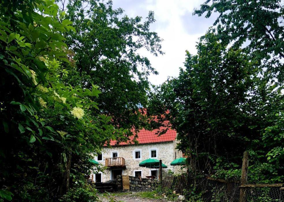 Guesthouse Kujtimi Theth Exterior photo